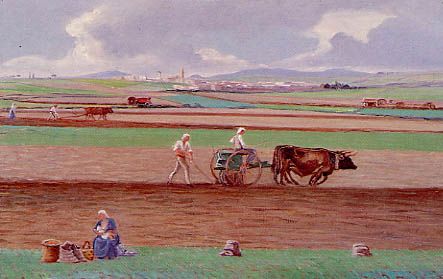 L'aratura