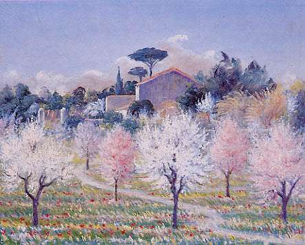 Mandorli in fiore